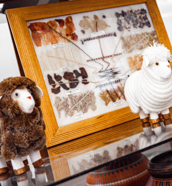 Culture photo with sheep and wool portrait 